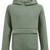 WE FASHION Unisex - Hoodie - Green