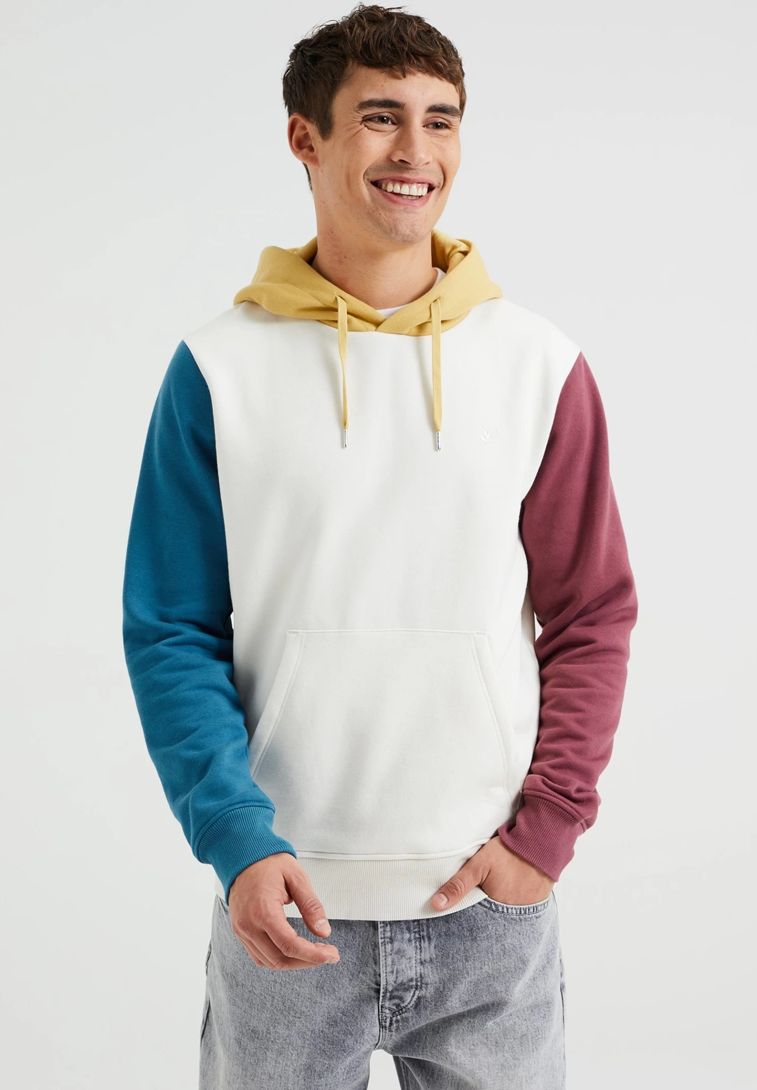 WE FASHION Hoodie - Multi-Coloured