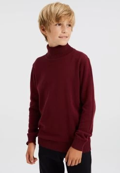 WE FASHION Coltrui - Trui - Red