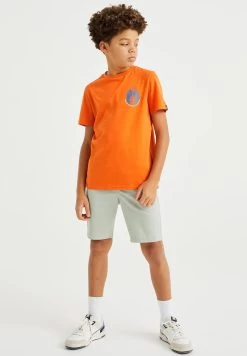 WE FASHION Regular Fit- Shorts - Green