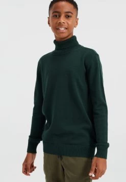 WE FASHION Coltrui - Trui - Green