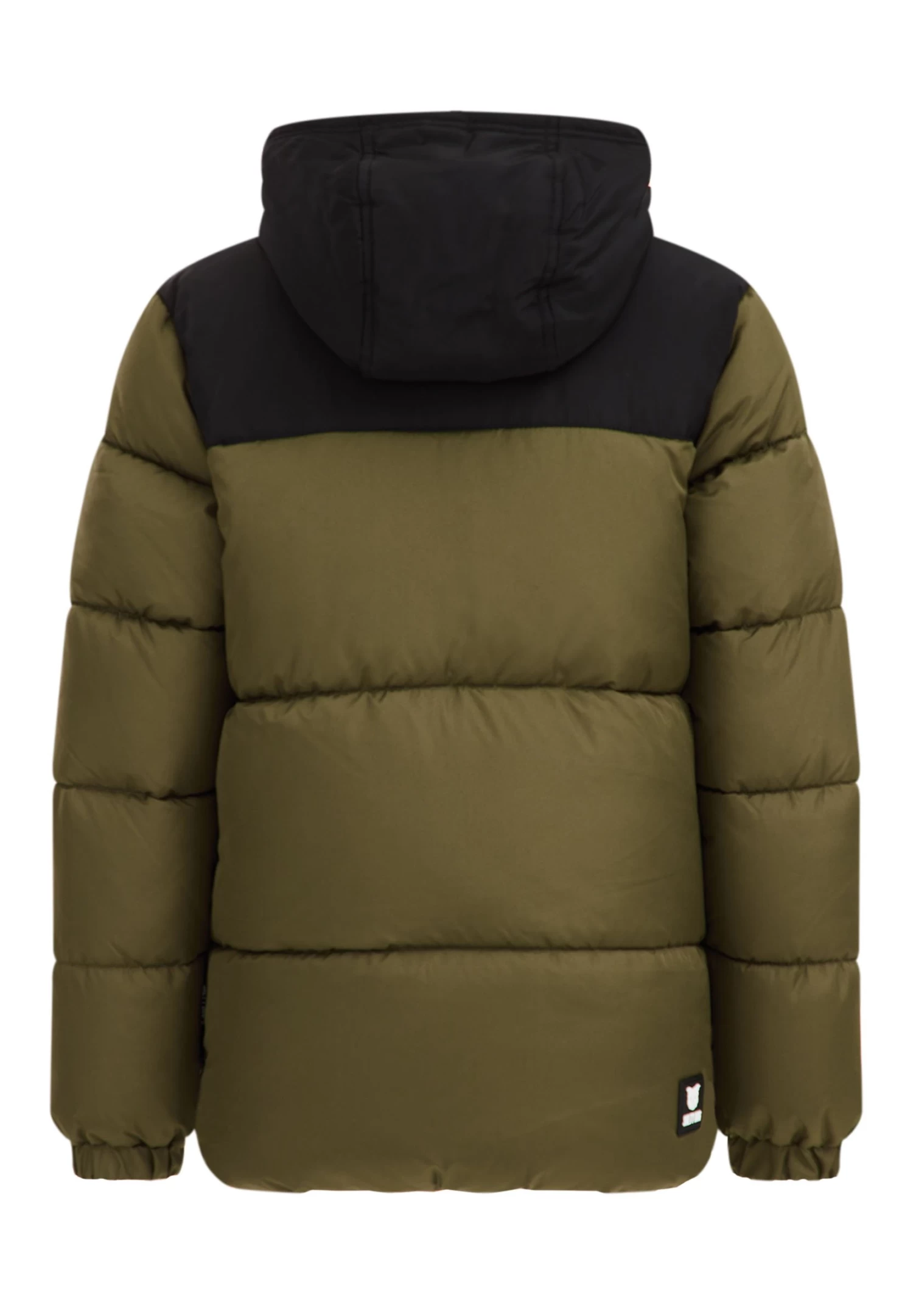 WE FASHION Salty Dog - Winterjas - Green - Afbeelding 5